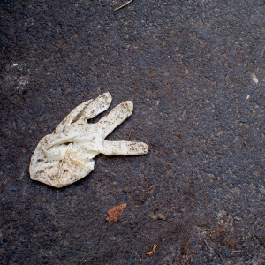 Berlin Glove 23 Dec 15-2