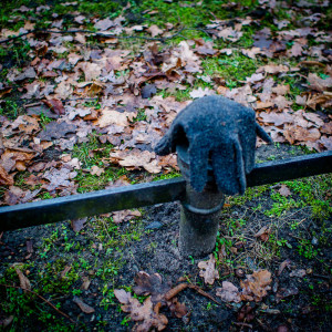 Berlin Glove 01 Jan 16-4