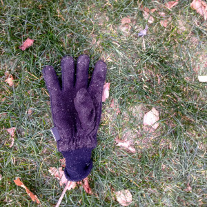 Berlin Glove 05 Jan 16-3