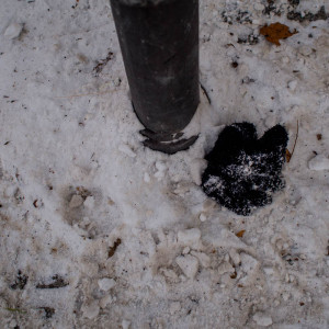 Berlin Glove 07 Jan 16