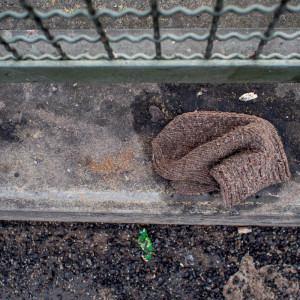 Berlin Glove 10 Jan 16