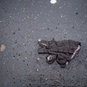 Berlin Glove 12 Jan 16-3