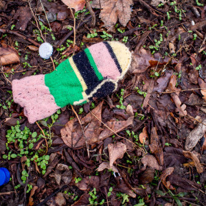 Berlin Glove 13 Jan 16