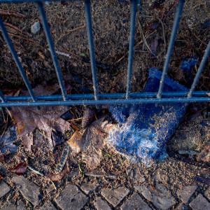 Berlin Glove 14 Jan 16-2