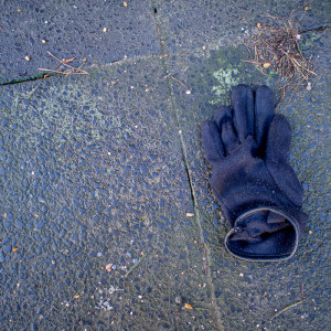 Berlin Glove 14 Jan 16-3