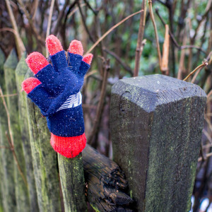 Berlin Glove 14 Jan 16