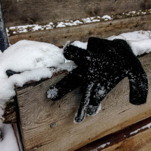 Berlin Glove 17 Jan 16