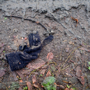 Berlin Glove 26 Jan 16
