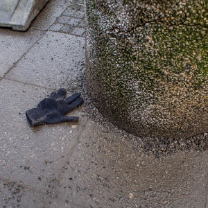 Berlin Glove 26 Jan 16-5