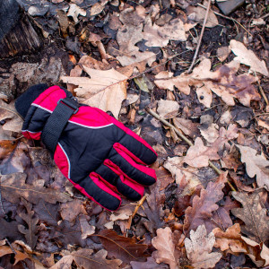 Berlin Glove 27 Jan 16-2