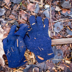 Berlin Glove 27 Jan 16